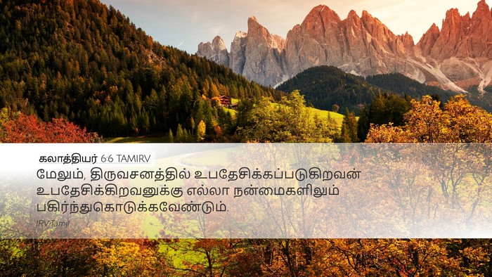 கலாத்தியர் 6:6 TAMIRV Bible Verse Image