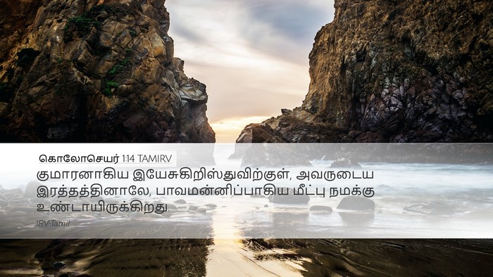 கொலோசெயர் 1:14 TAMIRV Bible Verse Image
