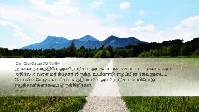 கொலோசெயர் 2:12 TAMIRV Bible Verse Image