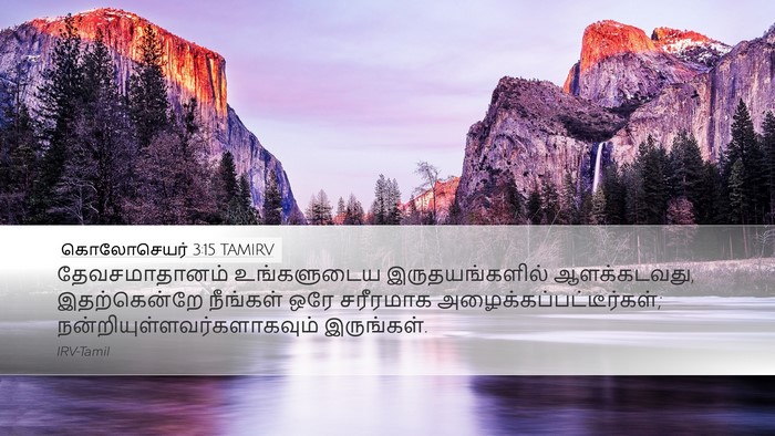 கொலோசெயர் 3:15 TAMIRV Bible Verse Image