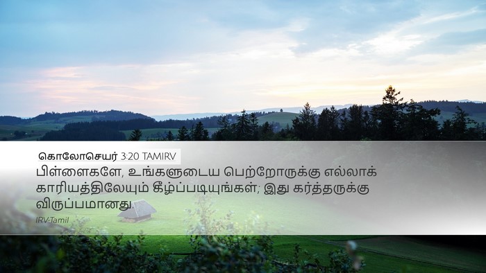 கொலோசெயர் 3:20 TAMIRV Bible Verse Image