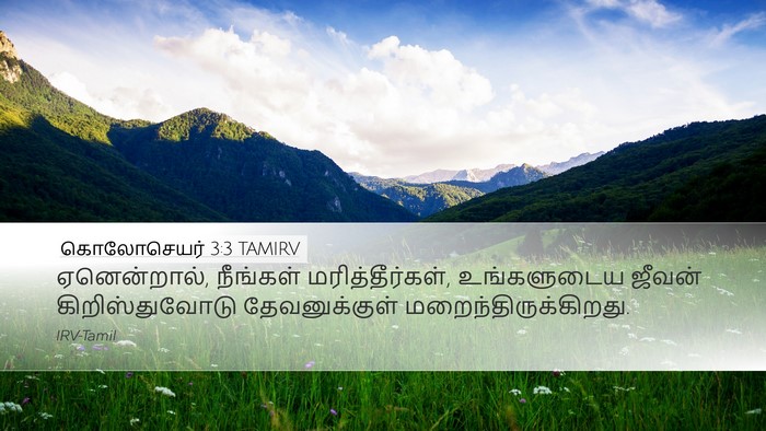 கொலோசெயர் 3:3 TAMIRV Bible Verse Image