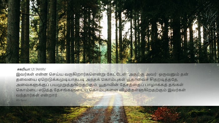 சகரியா 1:21 TAMIRV Bible Verse Image