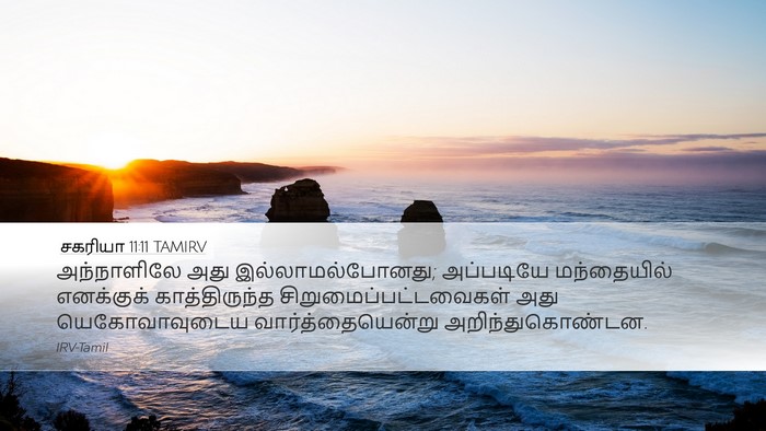 சகரியா 11:11 TAMIRV Bible Verse Image