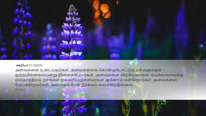 சகரியா 11:5 TAMIRV Bible Verse Image