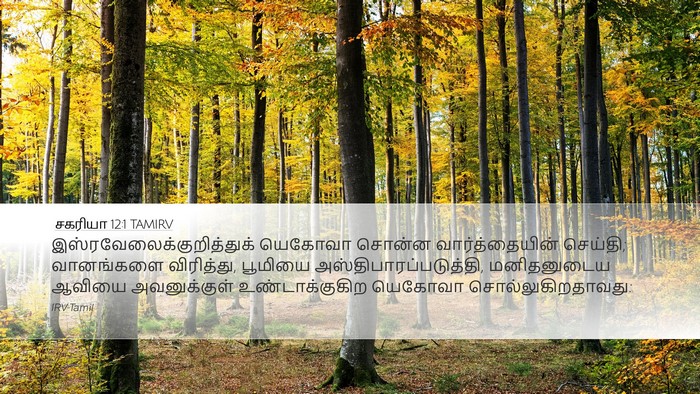சகரியா 12:1 TAMIRV Bible Verse Image