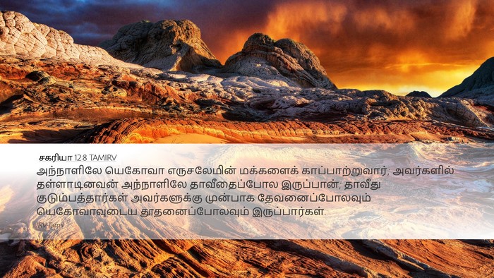 சகரியா 12:8 TAMIRV Bible Verse Image