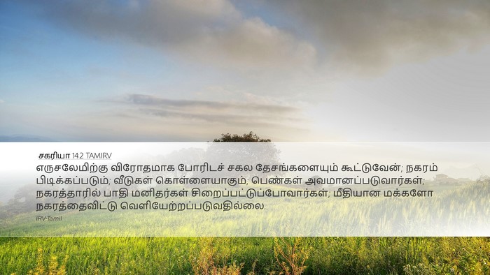 சகரியா 14:2 TAMIRV Bible Verse Image