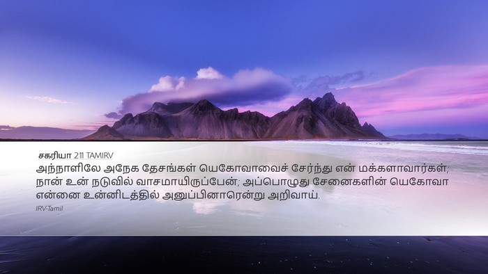 சகரியா 2:11 TAMIRV Bible Verse Image