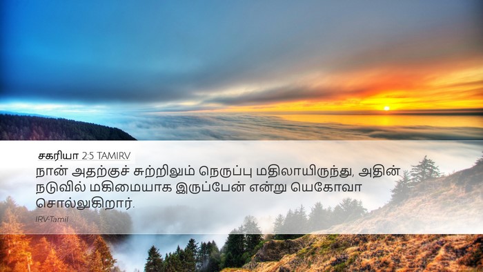 சகரியா 2:5 TAMIRV Bible Verse Image