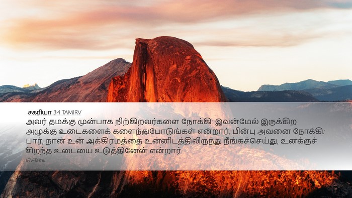 சகரியா 3:4 TAMIRV Bible Verse Image
