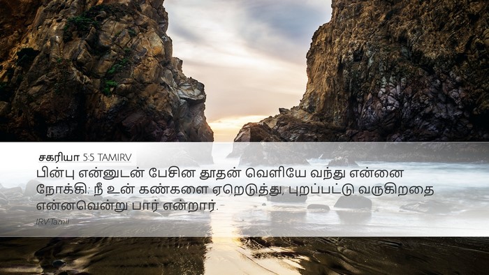 சகரியா 5:5 TAMIRV Bible Verse Image