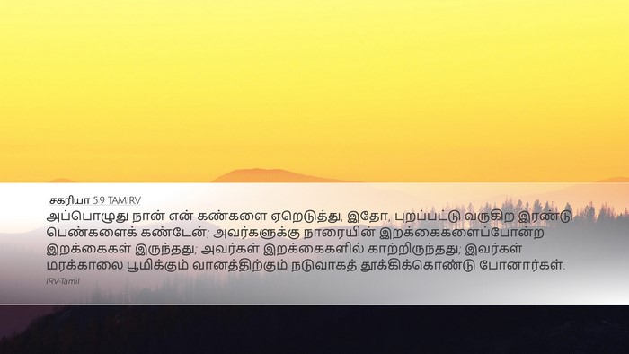 சகரியா 5:9 TAMIRV Bible Verse Image