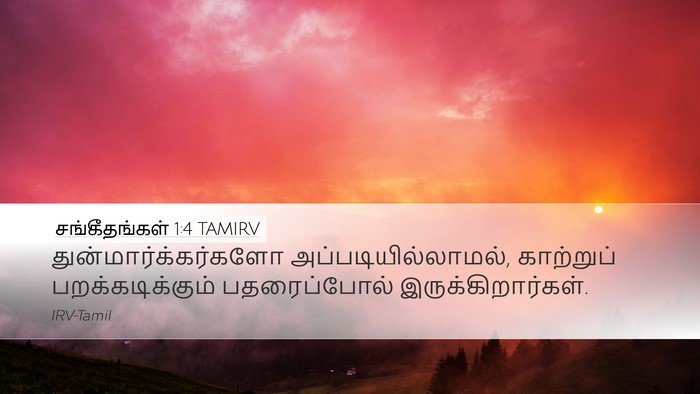 சங்கீதங்கள் 1:4 TAMIRV Desktop Wallpaper - துன்மார்க்கர்களோ - Desktop Bible Verse Wallpaper