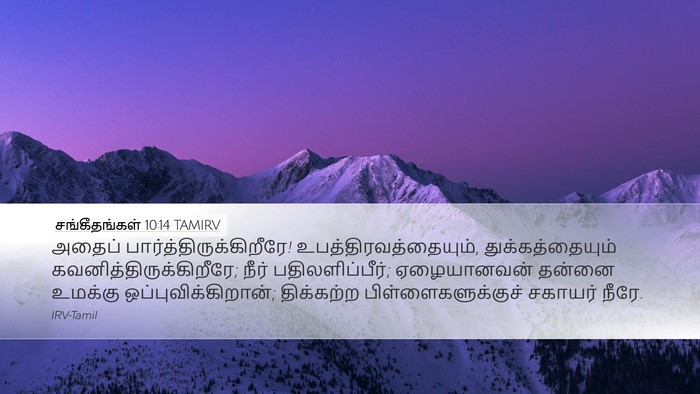 சங்கீதங்கள் 10:14 TAMIRV Bible Verse Image