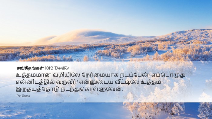 சங்கீதங்கள் 101:2 TAMIRV Desktop Wallpaper - உத்தமமான வழியிலே - Desktop Bible Verse Wallpaper