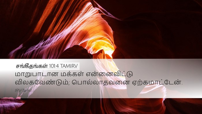 சங்கீதங்கள் 101:4 TAMIRV Bible Verse Image
