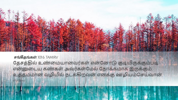 சங்கீதங்கள் 101:6 TAMIRV Bible Verse Image