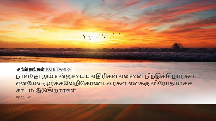 சங்கீதங்கள் 102:8 TAMIRV Bible Verse Image