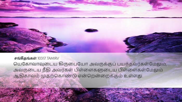 சங்கீதங்கள் 103:17 TAMIRV Bible Verse Image