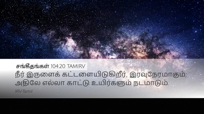 சங்கீதங்கள் 104:20 TAMIRV Bible Verse Image