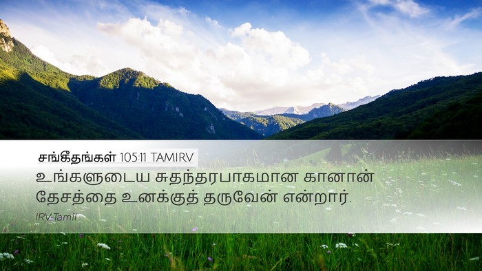சங்கீதங்கள் 105:11 TAMIRV Bible Verse Image