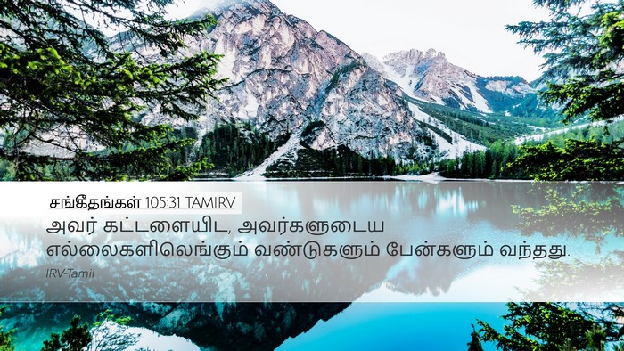சங்கீதங்கள் 105:31 TAMIRV Bible Verse Image
