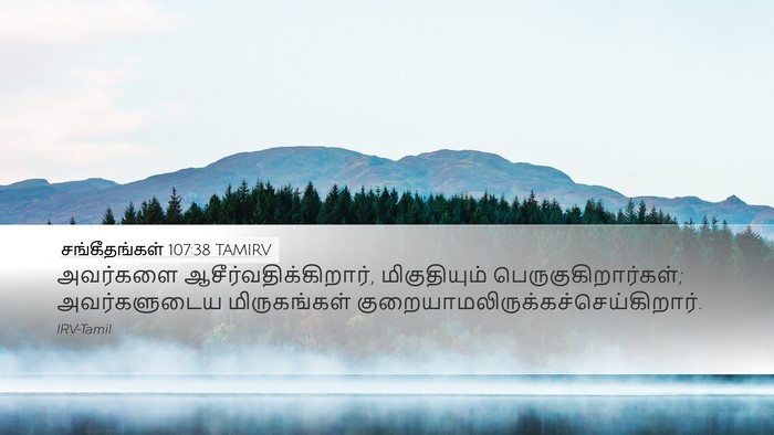 சங்கீதங்கள் 107:38 TAMIRV Desktop Wallpaper - அவர்களை - Desktop Bible Verse Wallpaper