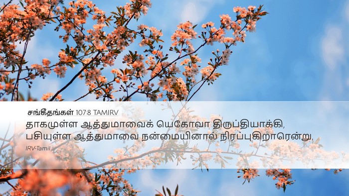சங்கீதங்கள் 107:8 TAMIRV Bible Verse Image