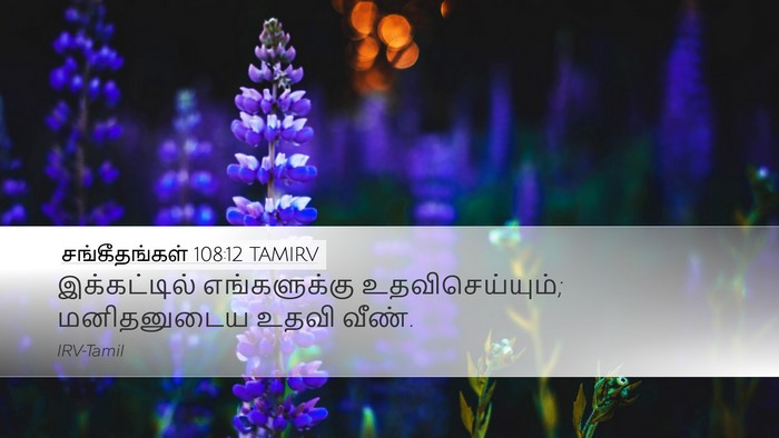 சங்கீதங்கள் 108:12 TAMIRV Bible Verse Image