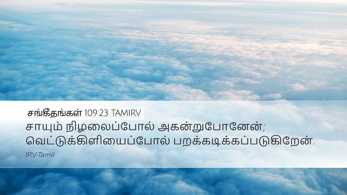 சங்கீதங்கள் 109:23 TAMIRV Desktop Wallpaper - சாயும் - Desktop Bible Verse Wallpaper