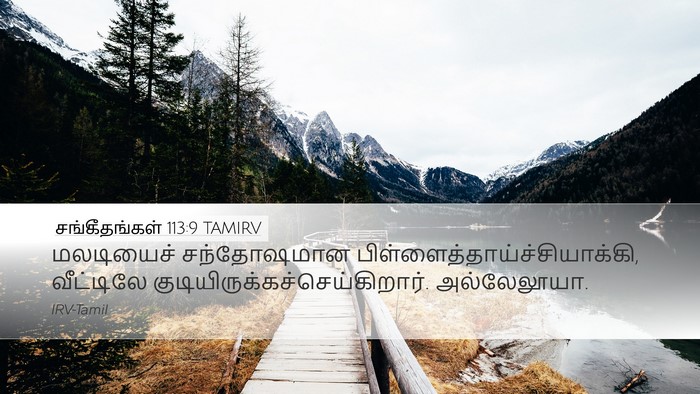 சங்கீதங்கள் 113:9 TAMIRV Bible Verse Image