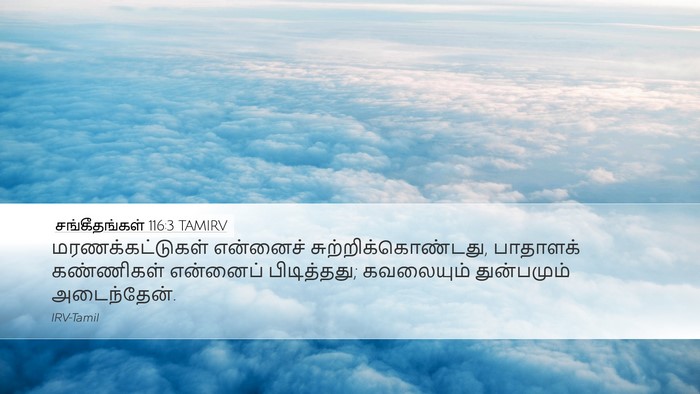 சங்கீதங்கள் 116:3 TAMIRV Bible Verse Image