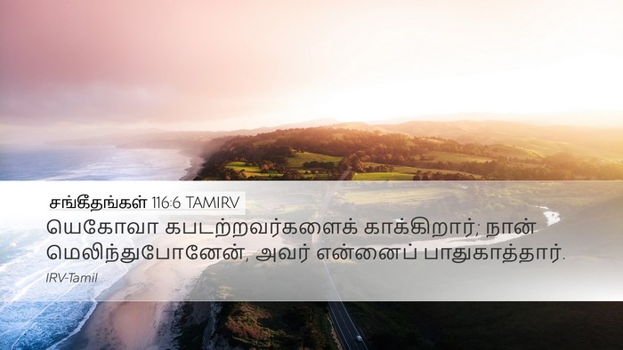 சங்கீதங்கள் 116:6 TAMIRV Bible Verse Image