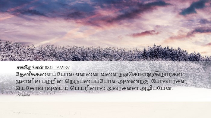 சங்கீதங்கள் 118:12 TAMIRV Desktop Wallpaper - தேனீக்களைப்போல - Desktop Bible Verse Wallpaper