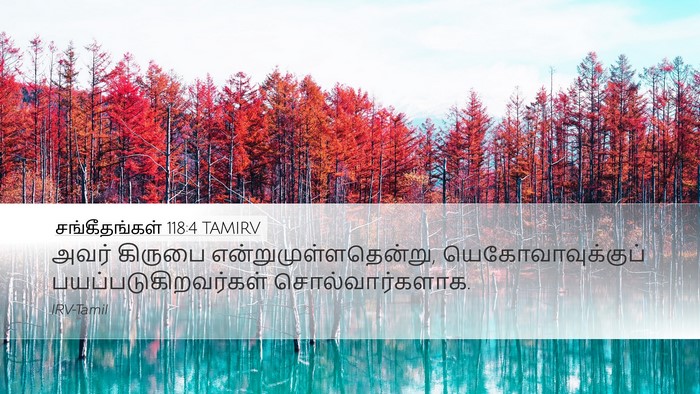 சங்கீதங்கள் 118:4 TAMIRV Bible Verse Image
