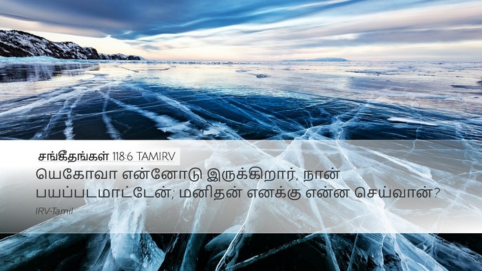 சங்கீதங்கள் 118:6 TAMIRV Bible Verse Image