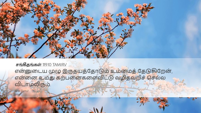 சங்கீதங்கள் 119:10 TAMIRV Bible Verse Image