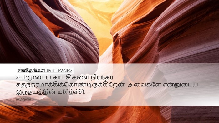 சங்கீதங்கள் 119:111 TAMIRV Bible Verse Image