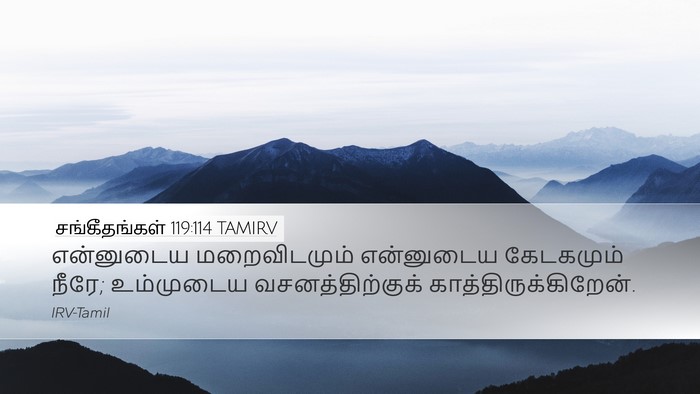 சங்கீதங்கள் 119:114 TAMIRV Bible Verse Image
