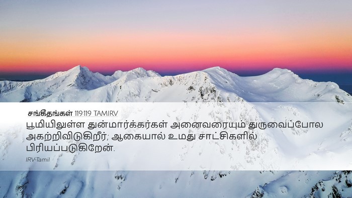 சங்கீதங்கள் 119:119 TAMIRV Bible Verse Image