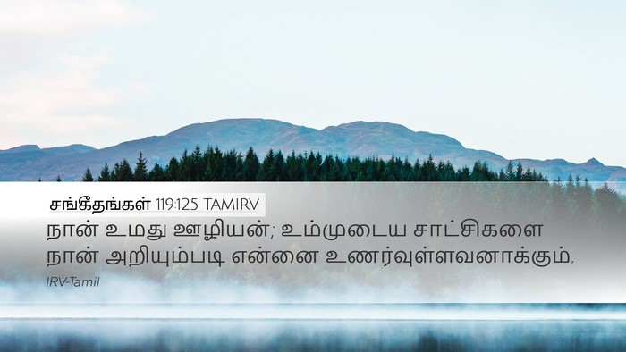 சங்கீதங்கள் 119:125 TAMIRV Bible Verse Image