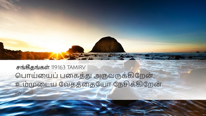 சங்கீதங்கள் 119:163 TAMIRV Bible Verse Image