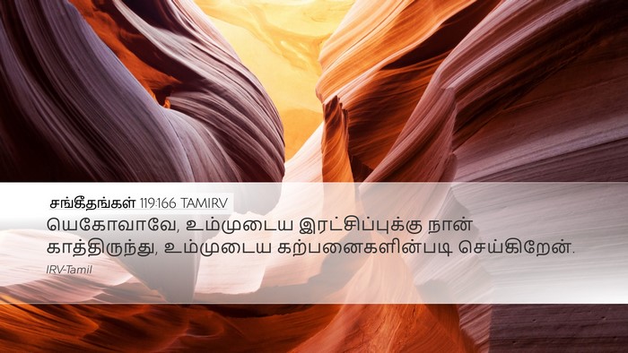 சங்கீதங்கள் 119:166 TAMIRV Bible Verse Image
