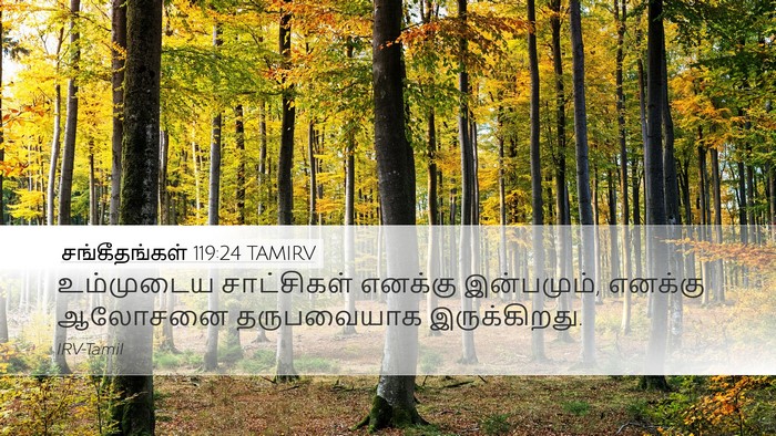 சங்கீதங்கள் 119:24 TAMIRV Bible Verse Image