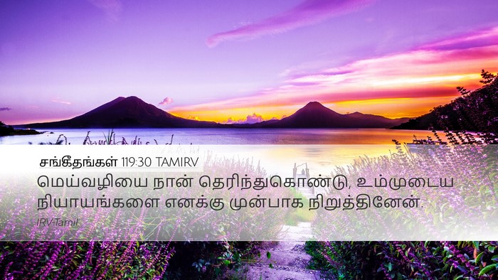 சங்கீதங்கள் 119:30 TAMIRV Bible Verse Image