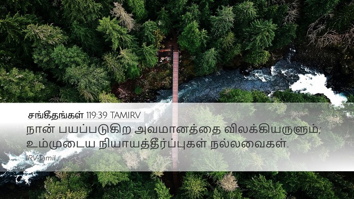சங்கீதங்கள் 119:39 TAMIRV Bible Verse Image