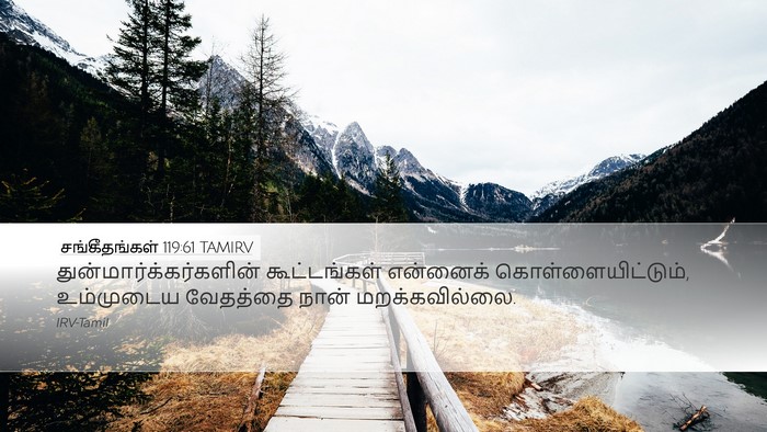 சங்கீதங்கள் 119:61 TAMIRV Bible Verse Image