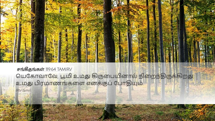 சங்கீதங்கள் 119:64 TAMIRV Bible Verse Image