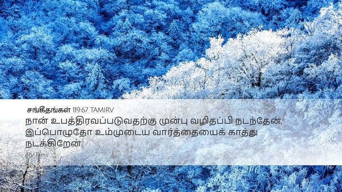 சங்கீதங்கள் 119:67 TAMIRV Bible Verse Image